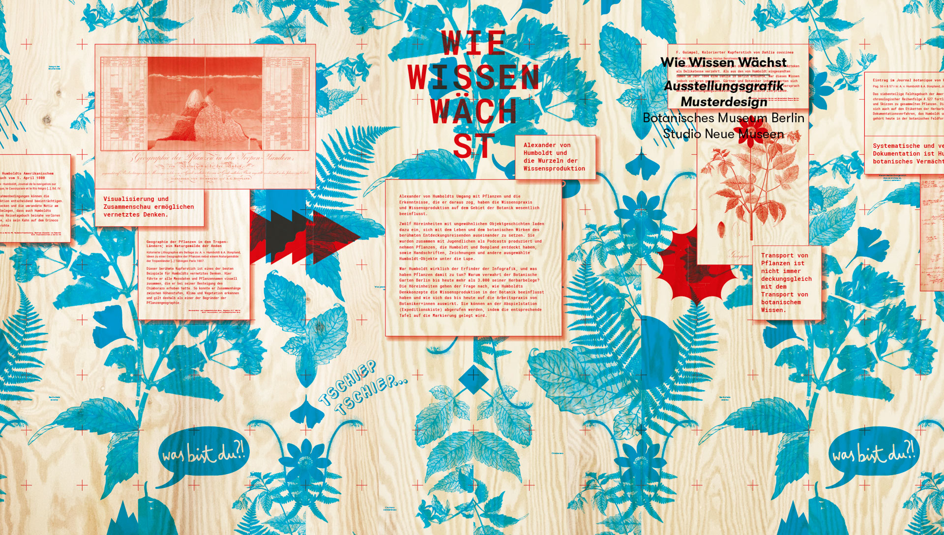 Humboldt-Ausstellung Wie Wissen Wächst