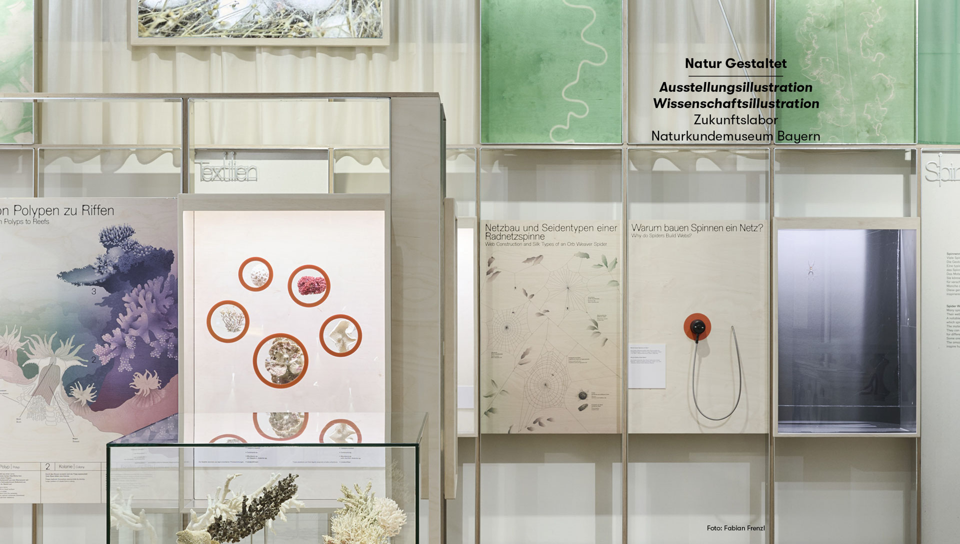 Naturkundemuseum Bayern Ausstellungsansicht